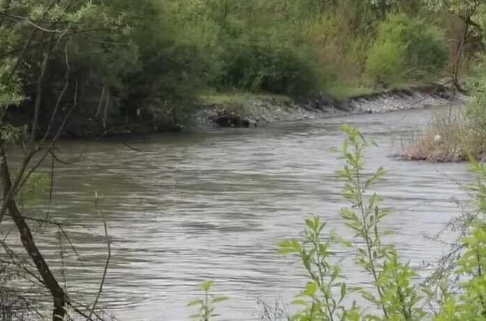 Прикордонники затримали чоловіка з пораненою рукою, який хотів переплести Тису